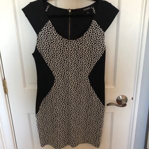 Black & White Leopard Print Express Dress